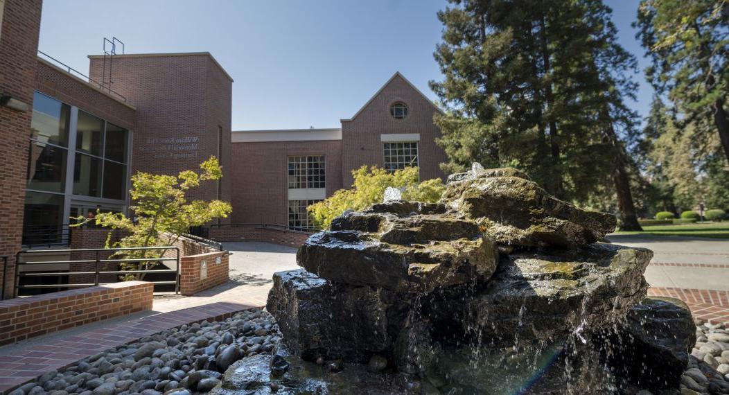 library water feature